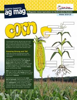 Corn Ag Mag Cover