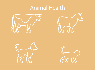 Animal Health