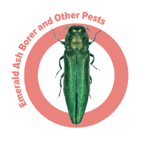 Other Pests