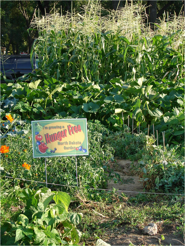 Hunger Garden