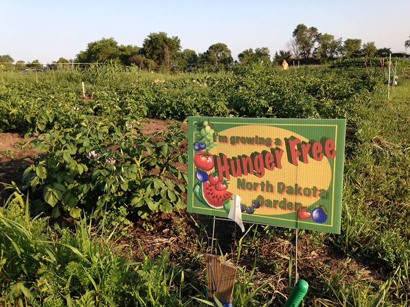 Hunger Garden