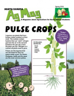 Pulse Crops Cover Ag Mag