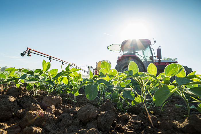 Spray Soybeans