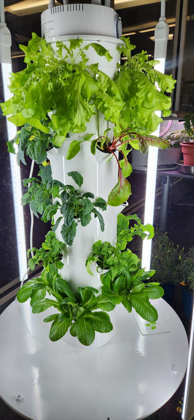 Tower Garden