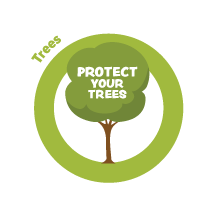 Trees