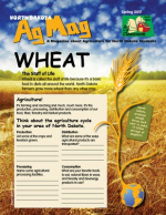 Wheat Cover Ag Mag