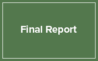 Final Report