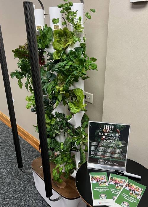 Hydroponic tower garden