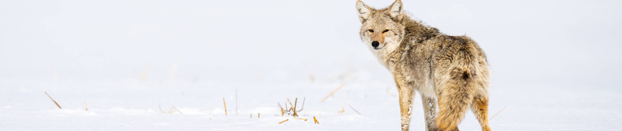 Home North Dakota Department of Agriculture